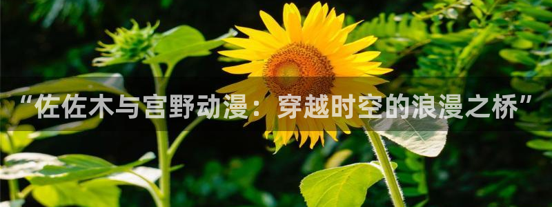 囧次元动漫官方正版